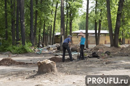 În parcul gafuri din Ufa se va deschide un dinopark - știri despre Ufa și Bashkortostan