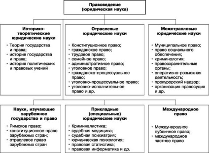 Introducere în conceptul jurisprudenței, subiectul și sistemul de disciplină