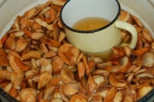 Apple kvass acasă de la mere uscate