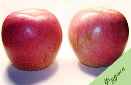 Яблуня фуджі опис сорту з фото, відгуки