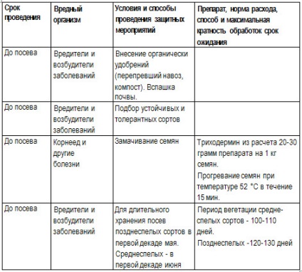 Жълти листа от цвекло, защо и какво да направите, извара