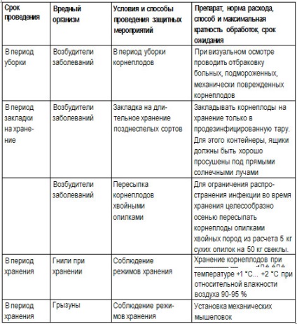 Жълти листа от цвекло, защо и какво да направите, извара