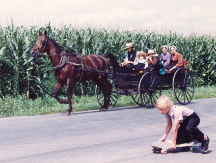 10 Fapte despre Amish - știri în fotografii