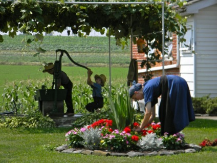 15 érdekes tény az Amish - az egyik legismertebb vallási kisebbségek