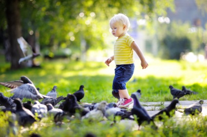 5 Небезпечних захворювань, які переносять птиці