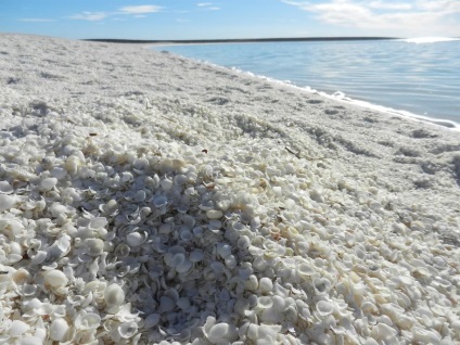 8-fújás strandok legszokatlanabb színek (Beach található) 8 fúj strandok a legszokatlanabb színek