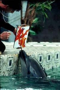 Алуштинський дельфінарій