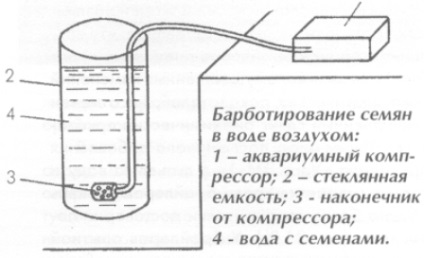 Барботування насіння овочевих рослин, саморобний пристрій