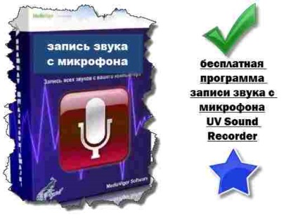 Program gratuit în limba rusă pentru înregistrarea sunetului pe calculator cu microfon