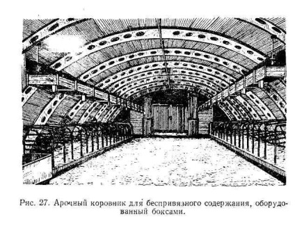 Безприв'язне утримання великої рогатої худоби