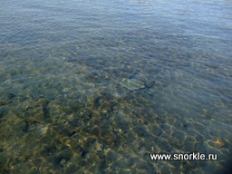 Siguranța snorkelingului în Marea Roșie