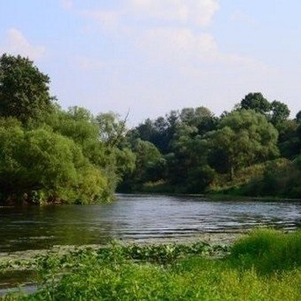 Бобровий розплідник, Воронезька область