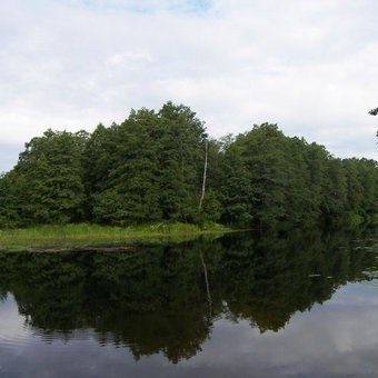 Beaver детска градина, област Воронеж