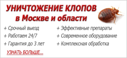 A bogarak az emberre veszélyes (humán veszélyes hibákat) A bogarak az emberre veszélyes