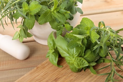 Mi más, mint a citromfű menta (citromfű) Mi a különbség a menta balzsam
