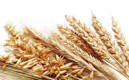 Чим корисна пшениця
