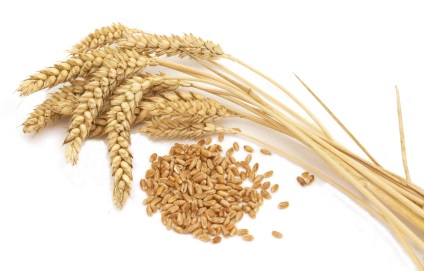 Чим корисна пшениця