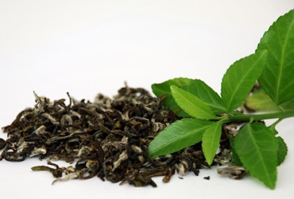 Чорний і зелений чай для волосся - правила ополіскування