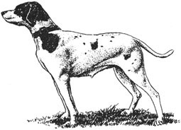 Citiți formarea și formarea câinilor de vânătoare - oberlander g