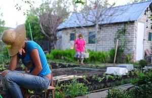 Що робити, якщо куплена дача з боргами