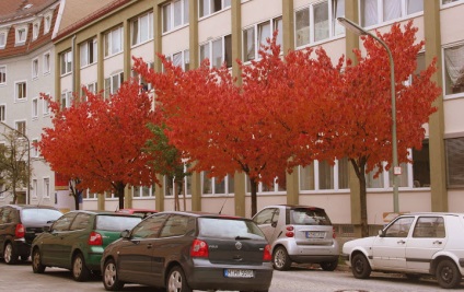 Що не можна говорити німцям або звіт про Баварії