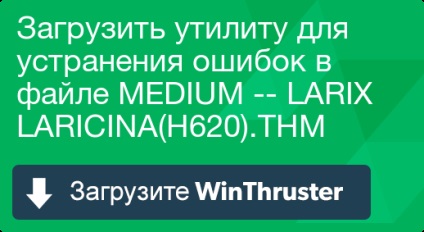 Що таке medium - larix laricina (h620)