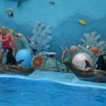 Dolphinarium din Alushta