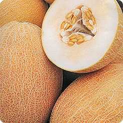 Melon Nectarină, 1 g