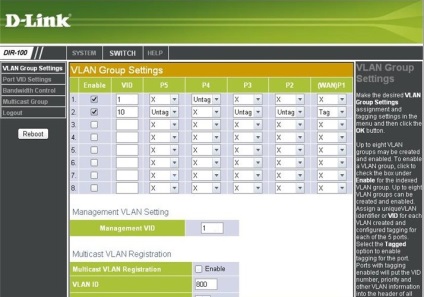 Dir 100 vlan, configurație hardware