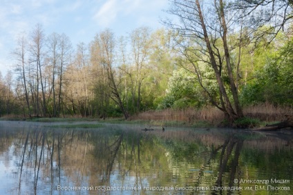 Atracții Rezervația Biosferei Voronezh