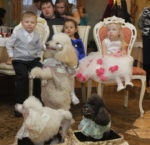 Animale instruite pentru o vacanță în Moscova arată pisici, câini