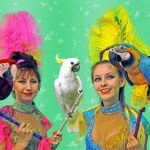 Дресировані тварини на свято в Москві шоу кішок, собак