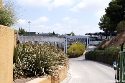 Turul torreselor din fabrica de vin din Catalonia