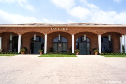 A kilengését pincészet Torres Katalóniában (Katalónia) A túra a borászat torres Katalóniában