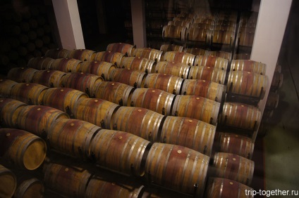 Turul torreselor din fabrica de vin din Catalonia