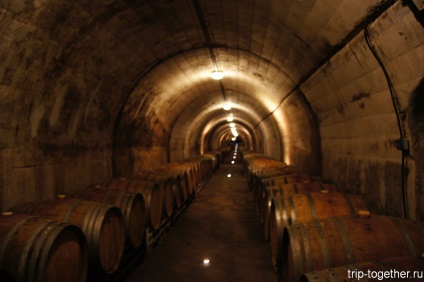 Turul torreselor din fabrica de vin din Catalonia