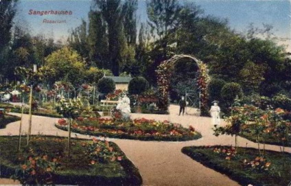 Europa-Rosarium în Sangerhausen (Germania)