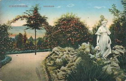 Europa-Rosarium în Sangerhausen (Germania)