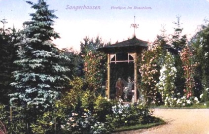 Europa-Rosarium în Sangerhausen (Germania)