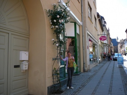 Europa-Rosarium în Sangerhausen (Germania)