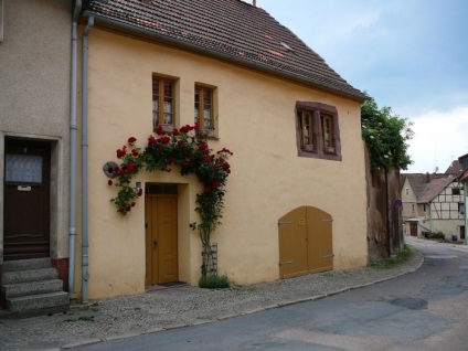 Europa-Rosarium în Sangerhausen (Germania)