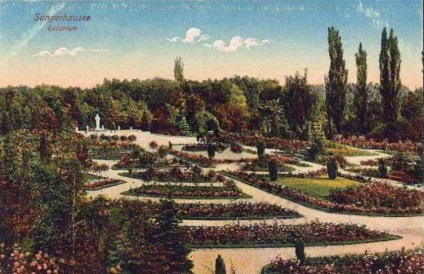 Europa-Rosarium în Sangerhausen (Germania)