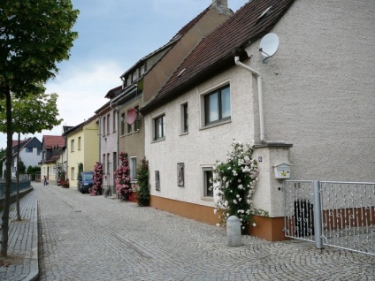 Europa-Rosarium în Sangerhausen (Germania)