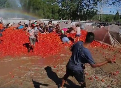 Lupte anuale cu roșii în Chile