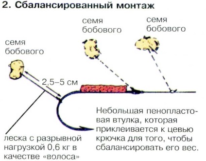 Квасоля для рибного лову