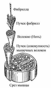 Федеральне державне освітня установа вищої професійної освіти