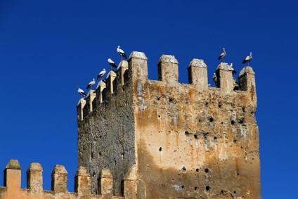 Fes - cel mai vechi oraș imperial din Maroc, știri despre fotografii