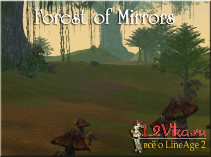 Forest of mirrors - ліс дзеркал - lineage 2