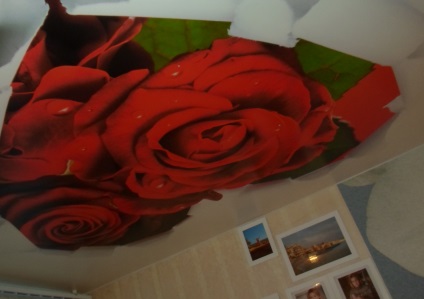 Foto de trandafiri de imprimare pe tavane stretch, mos siling - instalarea plafoanelor stretch în Moscova și