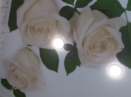 Fotónyomtatás Feszített mennyezetek rózsa, mos Siling - Telepítése álmennyezetek Moszkvában